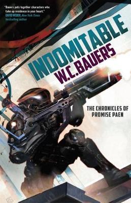Book cover for Indomitable