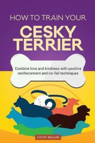 Cover of How to Train Your Cesky Terrier (Dog Training Collection)