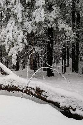 Cover of Winter Journal Fallen Tree Snow