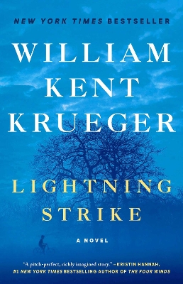 Cover of Lightning Strike