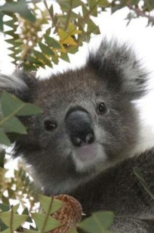 Cover of Peek a Boo I See You Koala Journal