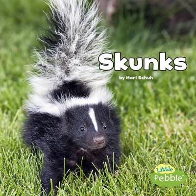 Book cover for Black and White Animals Skunks