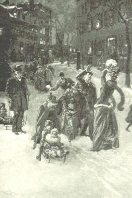 Book cover for Vintage Victorian New York Winter Street Journal