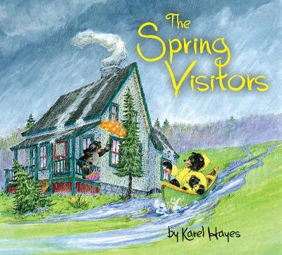 Book cover for The Spring Visitors