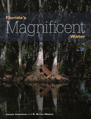 Book cover for Florida's Magnificent Water