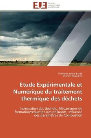 Cover of Etude experimentale et numerique du traitement thermique des dechets