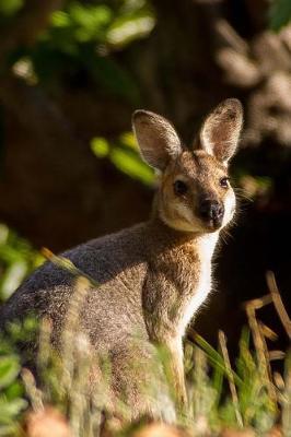 Book cover for A Young Wallaby Journal