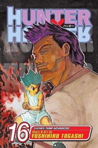 Cover of Hunter x Hunter, Vol. 16