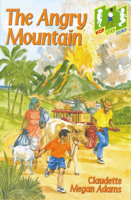 Book cover for HSJ; Angry Mountain