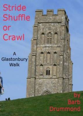 Book cover for Stride Shuffle or Crawl