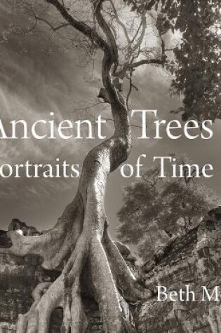 Cover of Ancient Trees