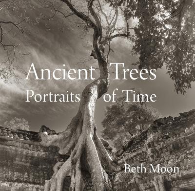 Book cover for Ancient Trees