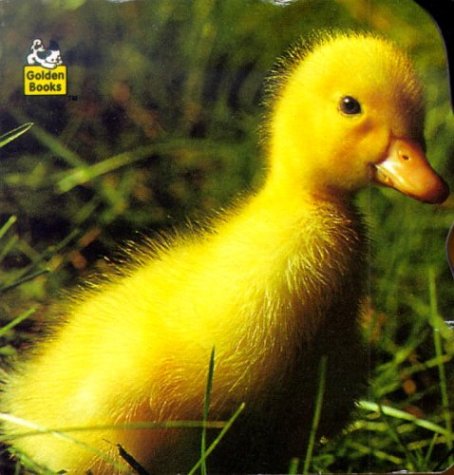 Cover of Animal Babies