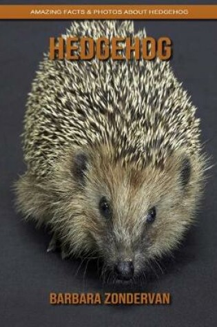 Cover of Hedgehog