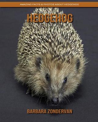 Book cover for Hedgehog