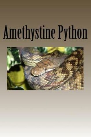 Cover of Amethystine Python