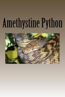 Book cover for Amethystine Python