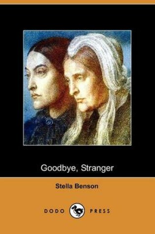 Cover of Goodbye, Stranger (Dodo Press)