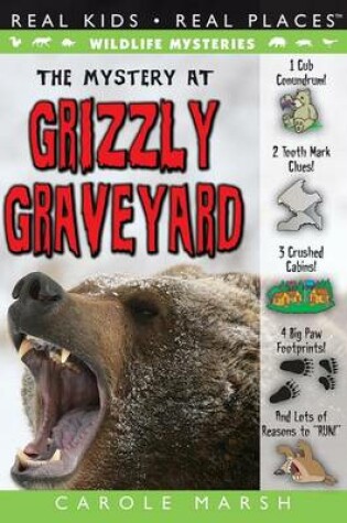 Cover of The Mystery at Grizzly Graveyard