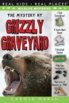 Book cover for The Mystery at Grizzly Graveyard