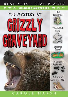 Book cover for The Mystery at Grizzly Graveyard