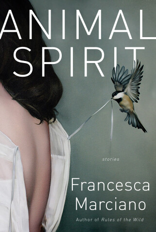 Book cover for Animal Spirit