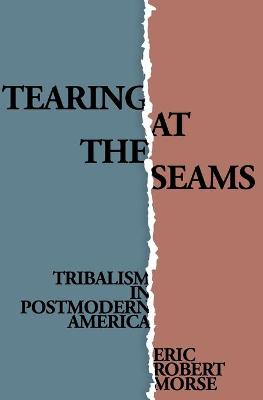 Book cover for Tearing at the Seams