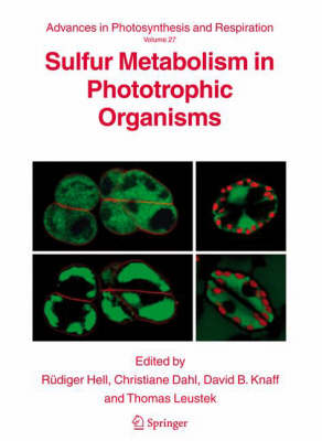 Cover of Sulfur Metabolism in Phototrophic Organisms