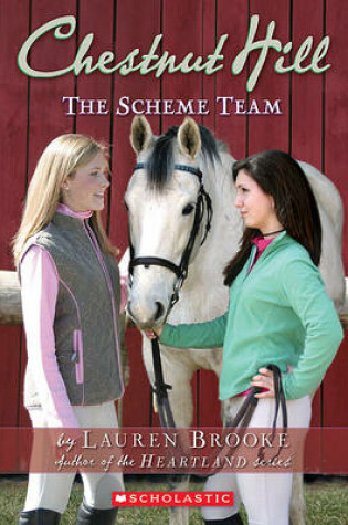 Cover of The Scheme Team