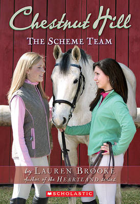 Book cover for The Scheme Team