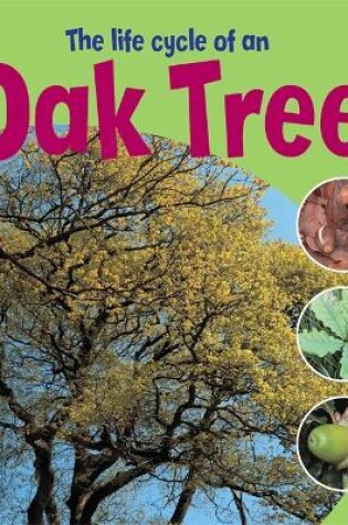 Cover of Learning About Life Cycles: The Life Cycle of an Oak Tree