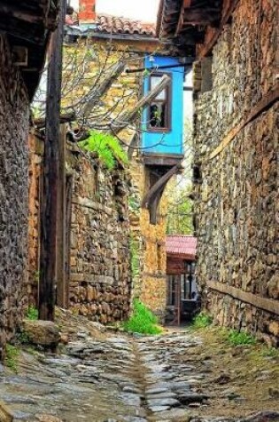 Cover of A Narrow Cobblestone Alley in Istanbul, Turkey Journal