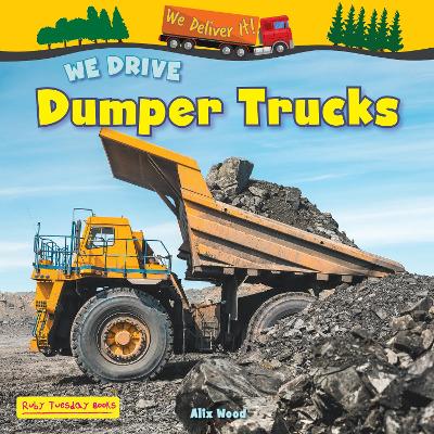 Book cover for We Drive Dumper Trucks
