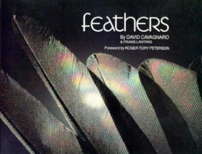 Book cover for Feathers