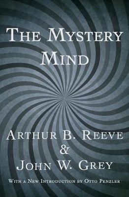 Book cover for The Mystery Mind