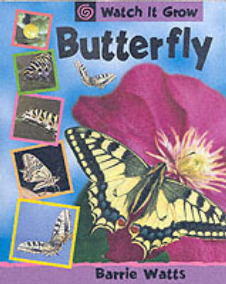 Book cover for Butterfly