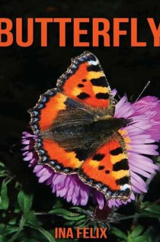 Cover of Butterfly