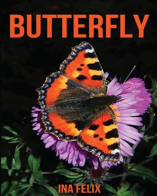 Book cover for Butterfly