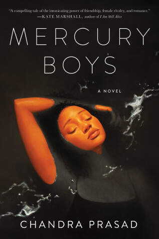 Book cover for Mercury Boys