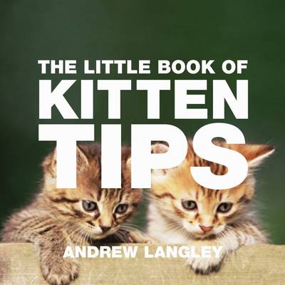 Book cover for The Little Book of Kitten Tips