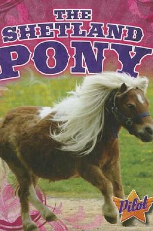 Cover of The Shetland Pony