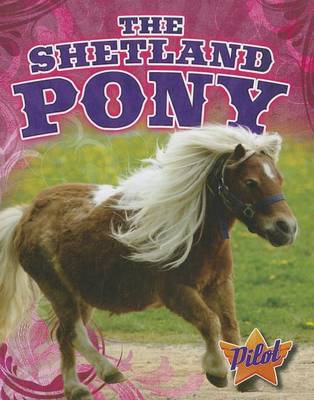 Cover of The Shetland Pony