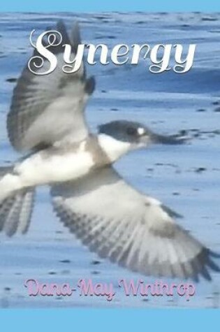 Cover of Synergy