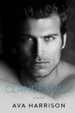 Cover of Clandestine