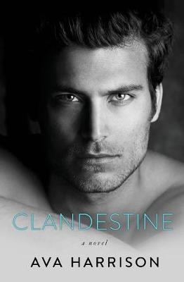 Book cover for Clandestine