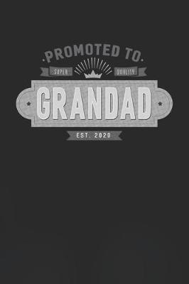 Book cover for Promoted To Super Quality Grandad Est. 2020