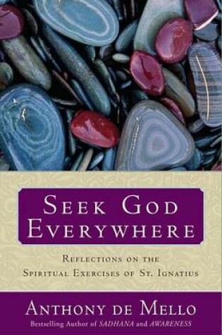 Cover of Seek God Everywhere