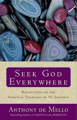 Book cover for Seek God Everywhere