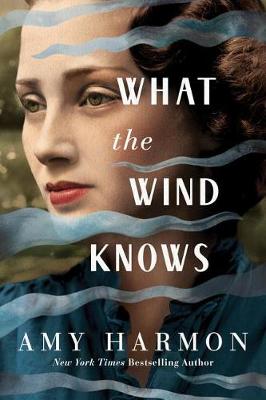 Book cover for What the Wind Knows