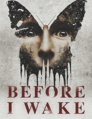 Book cover for Before I Wake